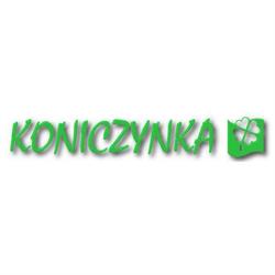 Koniczynka, Toruń godziny otwarcia