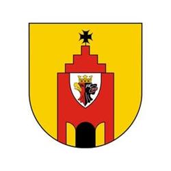 Urząd Gminy, Radziejów godziny otwarcia