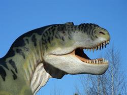 Park Dinozaurów, Nowiny Wielkie godziny otwarcia
