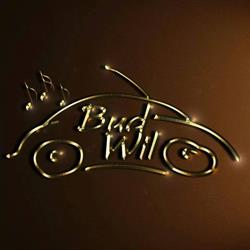 Bud-Wil Audiotuning, Olsztyn godziny otwarcia
