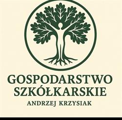 Gospodarstwo Szkółkarskie Andrzej Krzysiak, Spiczyn godziny otwarcia