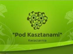 Pod Kasztanami. Kwiaciarnia, Mława godziny otwarcia