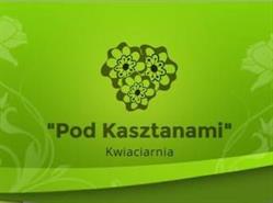Pod Kasztanami. Kwiaciarnia, Mława godziny otwarcia