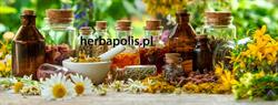 Sklep Zielarsko Medyczny Herbapolis Artur Kaszuba, Pleszew godziny otwarcia