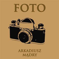Foto-Optyka. Mądry A., Wolsztyn godziny otwarcia