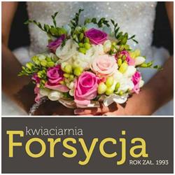 Forsycja. Kwiaciarnia, Białystok godziny otwarcia