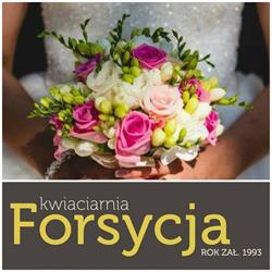 Forsycja. Kwiaciarnia, Białystok godziny otwarcia