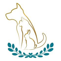 Przychodnia Weterynaryjna Akacjowa, Środa Wielkopolska godziny otwarcia