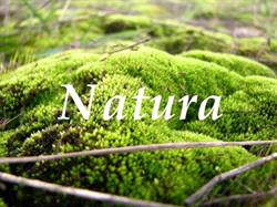 Natura. Sklep, Katowice godziny otwarcia
