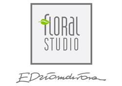 Floral Studio. Dziomdziora E., Łódź godziny otwarcia