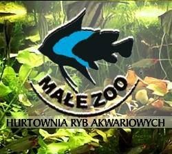 Sklep Zoologiczny "Małe ZOO" Zabrze, godziny otwarcia