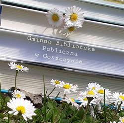 Gminna Biblioteka Publiczna, Goszczyn godziny otwarcia