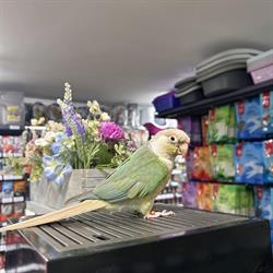Zwierzak. Pphu. Centrum Zoologiczne, Hajnówka godziny otwarcia