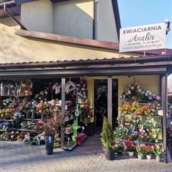 Azalia. Kwiaciarnia. Dering A., Konin godziny otwarcia