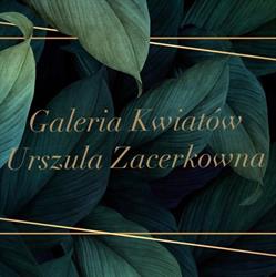 Galeria Kwiatów, Łódź godziny otwarcia