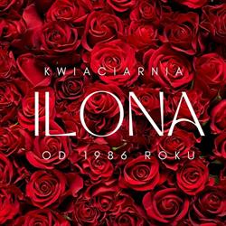 Ilona. Kwiaciarnia. Szczepanik H., Brzeszcze godziny otwarcia