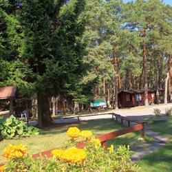 Portus. Sp. Z O.o. Ośrodek Wczasowo - Kolonijny, Międzywodzie godziny otwarcia