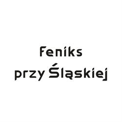 FENIKS przy Śląskiej, Radom godziny otwarcia