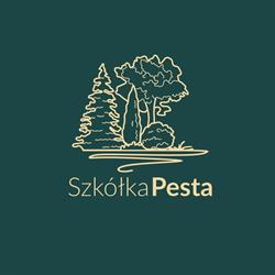 Szkółka Roślin Ozdobnych Paweł Pesta, Starogard Gdański godziny otwarcia