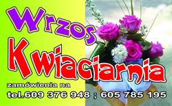 Wrzos. Kwiaciarnia, Witnica godziny otwarcia