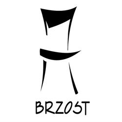 Brzost sp. z o.o., Leżajsk godziny otwarcia