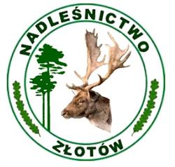 Nadleśnictwo Złotów, godziny otwarcia