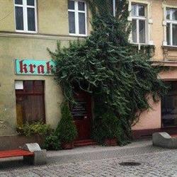 Krakus Sc. Bar, Oleśnica godziny otwarcia