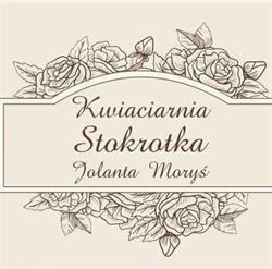 Stokrotka. Kwiaciarnia, Stepnica godziny otwarcia