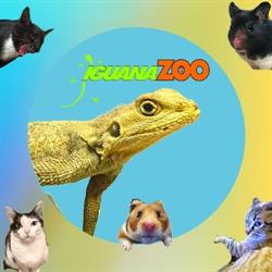 Iguanazoo Julita Lewandowska Specjalistyczny Sklep Zoologiczny, Radomsko godziny otwarcia