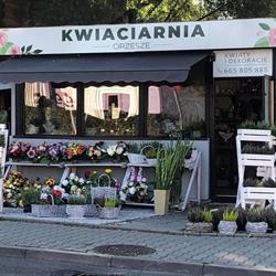 Dyrbusz Ilona. Kwiaciarnia, Orzesze godziny otwarcia