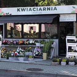 Dyrbusz Ilona. Kwiaciarnia, Orzesze godziny otwarcia