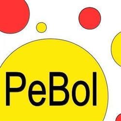P.W. PeBol sp.j., Częstochowa godziny otwarcia