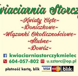 Storczyk. Kwiaciarnia. Sztorc U., Mielec godziny otwarcia