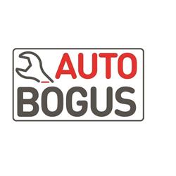Auto-Bogus. Bosch Service. Mechanika pojazdowa, diagnostyka. Bogus W., Kamieniec Ząbkowicki godziny otwarcia