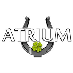 Atrium Fitness Sport. Szkółka Jazdy Konnej, Fitness, Swarzędz godziny otwarcia