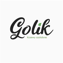 Golik Anna i Jacek. Szkółkarstwo. Szkółka drzew i krzewów ozdobnych, Studzionka godziny otwarcia