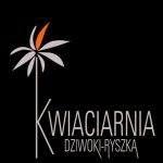 Ryszka-Dziwoki K. Kwiaciarnia, Rybnik godziny otwarcia