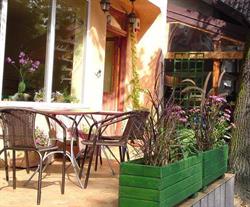 Tortilla-Serwis. Bar Sałatkowy, Milanówek godziny otwarcia