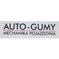 Auto Gumy Chociwel Paweł Kowcun, godziny otwarcia