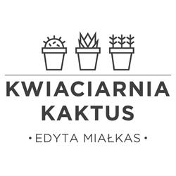 Kaktus. Kwiaciarnia. Miałkas e., Nowy Tomyśl godziny otwarcia