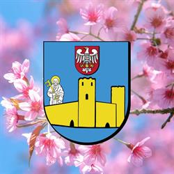 Starostwo Powiatowe, Ciechanów godziny otwarcia