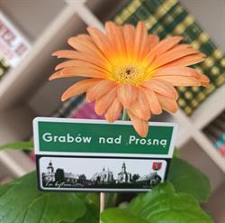 Biblioteka Publiczna, Bukownica godziny otwarcia