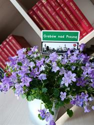 Biblioteka Publiczna, Bukownica godziny otwarcia