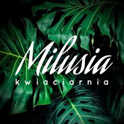 Milusia. Kwiaciarnia, Tuchów godziny otwarcia