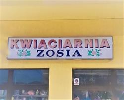 Zosia. Kwiaciarnia, Kazimierza Wielka godziny otwarcia