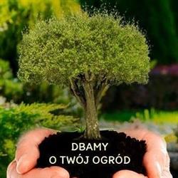 Centrum Ogrodnicze Pod Strzemięcinem, Grudziądz godziny otwarcia