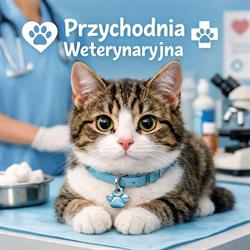 Pyliński Andrzej. Lecznica Specjalistyczna Dla Koni i Małych Zwierząt, Trąbki Wielkie godziny otwarcia