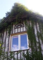 Pensjonat Monika. Pokoje Gościnne, Restauracja. Halama Elżbieta, Krynica Morska godziny otwarcia