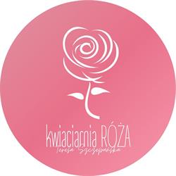 Róża. Kwiaciarnia. Szczepańska T., Rzeszów godziny otwarcia