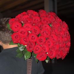 San-Flower. Kwiaciarnia, Sanok godziny otwarcia